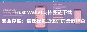 Trust Wallet支持多链下载 安全存储：信任钱包助记词的最好神色