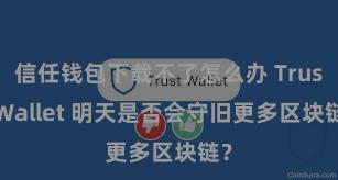 信任钱包下载不了怎么办 Trust Wallet 明天是否会守旧更多区块链？