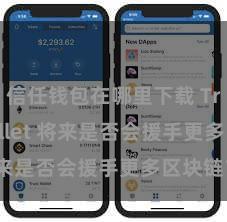 信任钱包在哪里下载 Trust Wallet 将来是否会援手更多区块链？