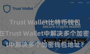 Trust Wallet比特币钱包下载 如安在Trust Wallet中解决多个加密钱包地址？