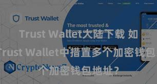 Trust Wallet大陆下载 如安在Trust Wallet中措置多个加密钱包地址？